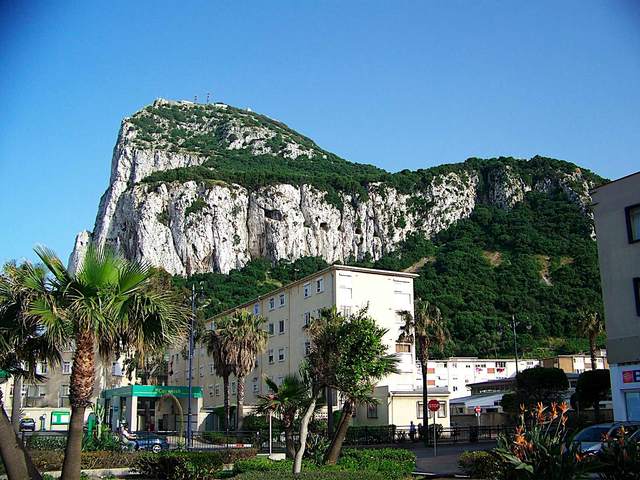 The Rock of Gibraltar rising above palm trees and apartment blocks