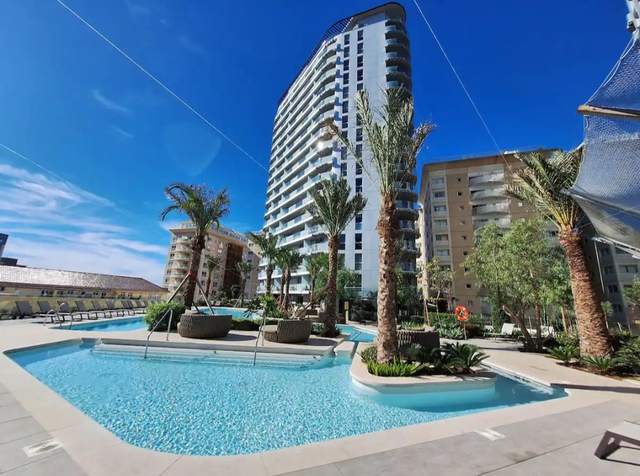 The building's pool with palm trees and the tower behind